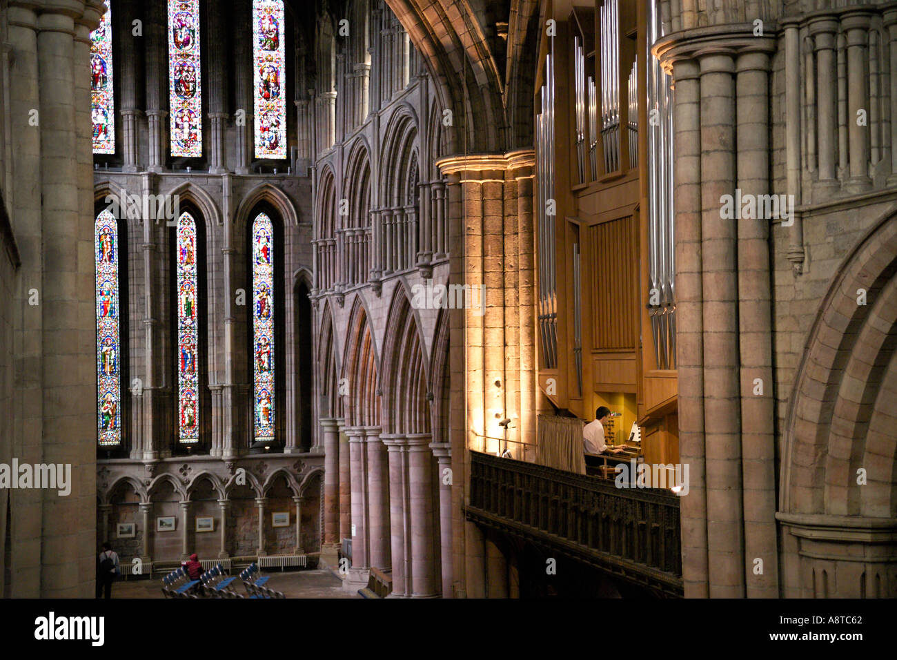 Hexham Abtei Northumberland England Orgelempore und Interieur Stockfoto