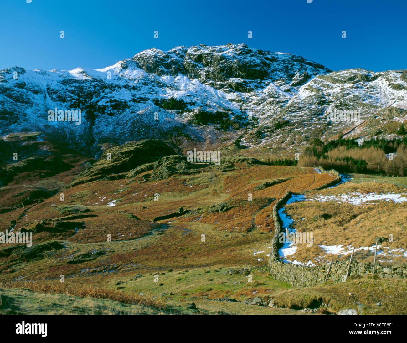 Schöne Winter-Lakeland-Szene; Blake Rigg in der Nähe von Blea Tarn, oben Langdale, Nationalpark Lake District, Cumbria, England, UK. Stockfoto