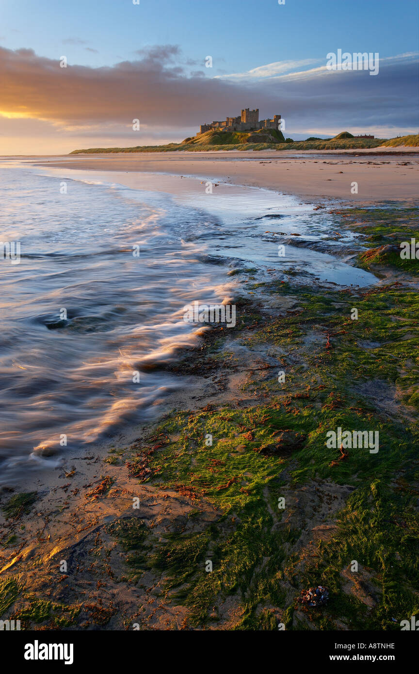 der Strand von Bamburgh Castle Northumbria England UK Stockfoto