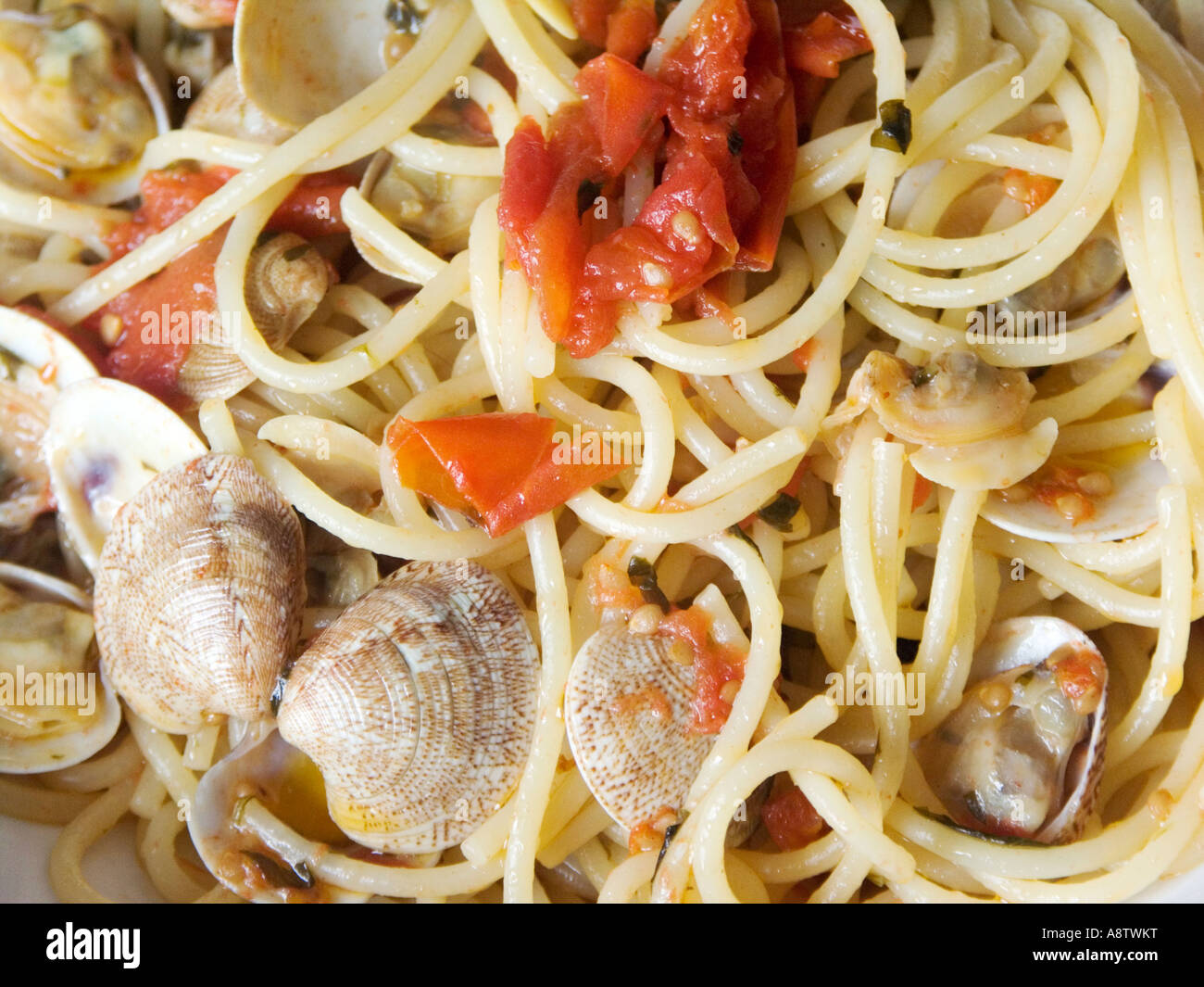 Paghetti Nudeln mit Vongole Muschel und Muskeln, traditionelle Fron Neapel, Kampanien, Süditalien Stockfoto