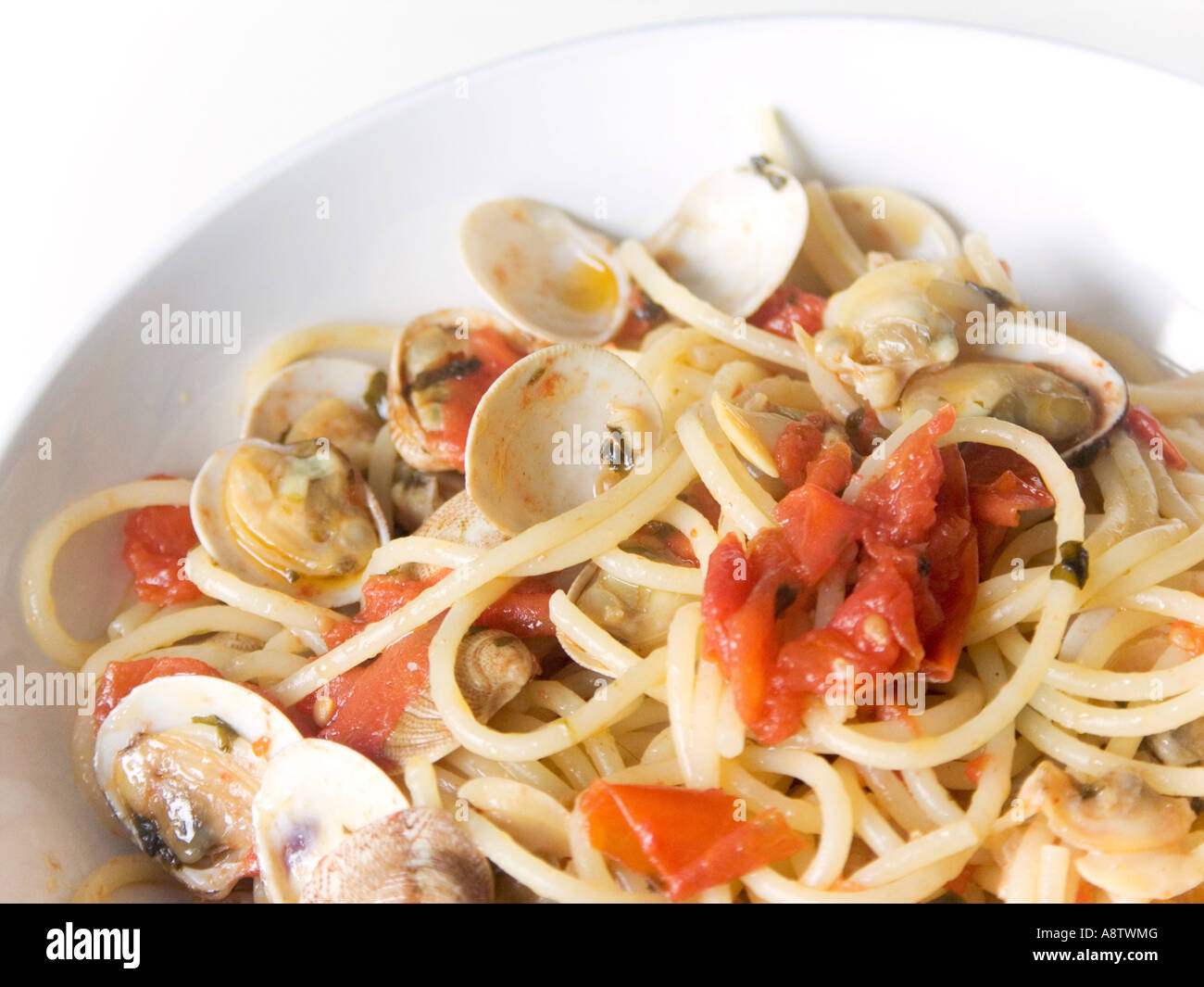 Spaghetti Nudeln mit Vongole Muschel und Muskeln, traditionelle Fron Neapel, Kampanien, Süditalien Stockfoto