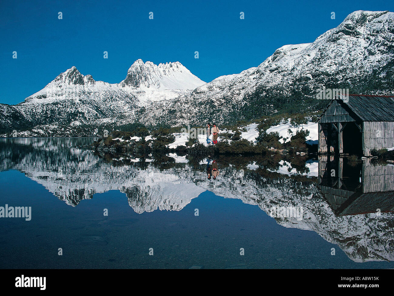 Travel Australien Tasmanien oberen Derwent Cradle Mountain und Lake Dove Stockfoto