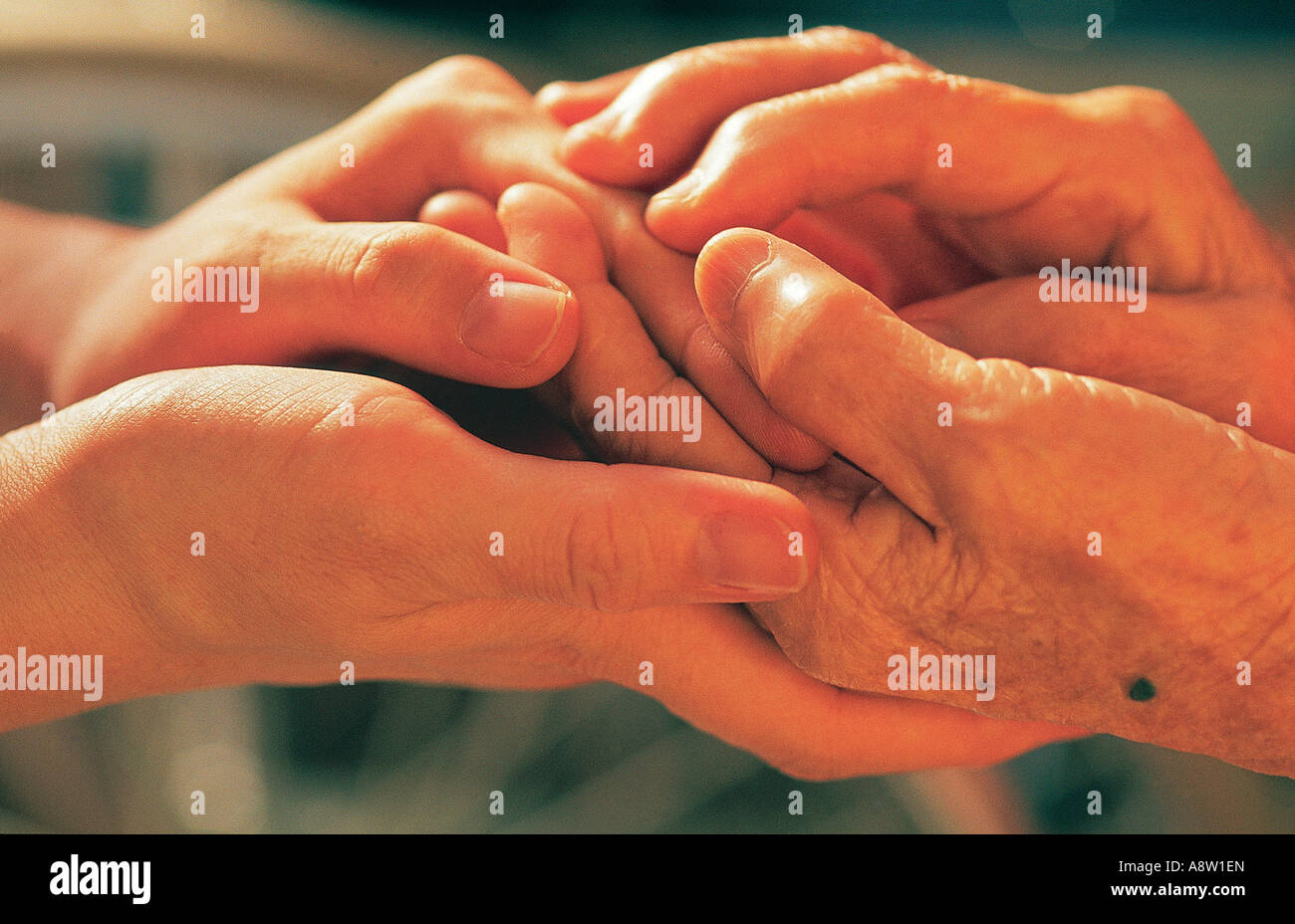 Nahaufnahme von alter Frau und jungem Mann, der Hände hält. Stockfoto
