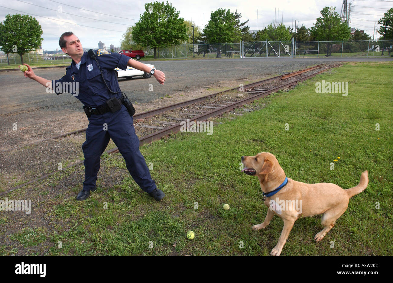 Pausenzeit für Bombe Hund mit Polizist Handler spezielle schnüffeln für Bomben und Sprengstoffen Terrorismus Bombe Detektionseinheit Stockfoto