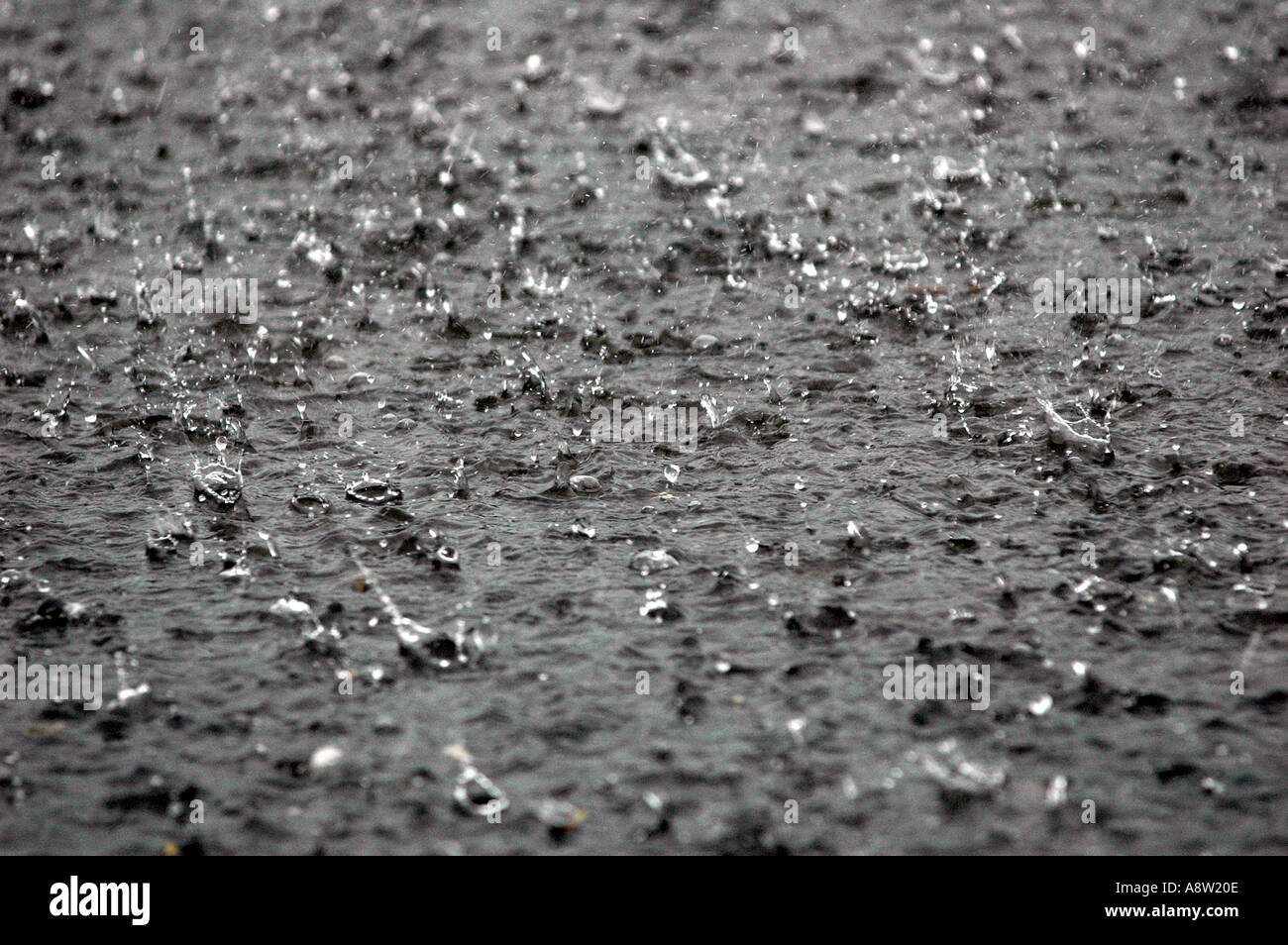 Gießen regen Regentropfen in einer Pfütze Wasser "Heavy Rain" Konzepte "Stormy Weather" und Textur. Stockfoto
