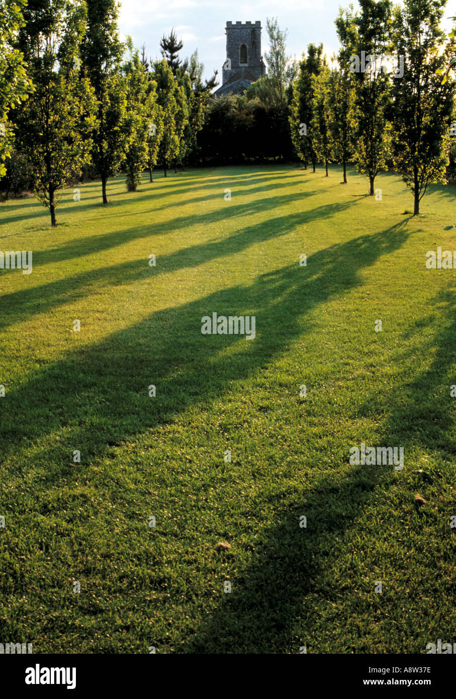 Allee der Eichen im Osten Ruston alte Pfarrhaus Norfolk Stockfoto