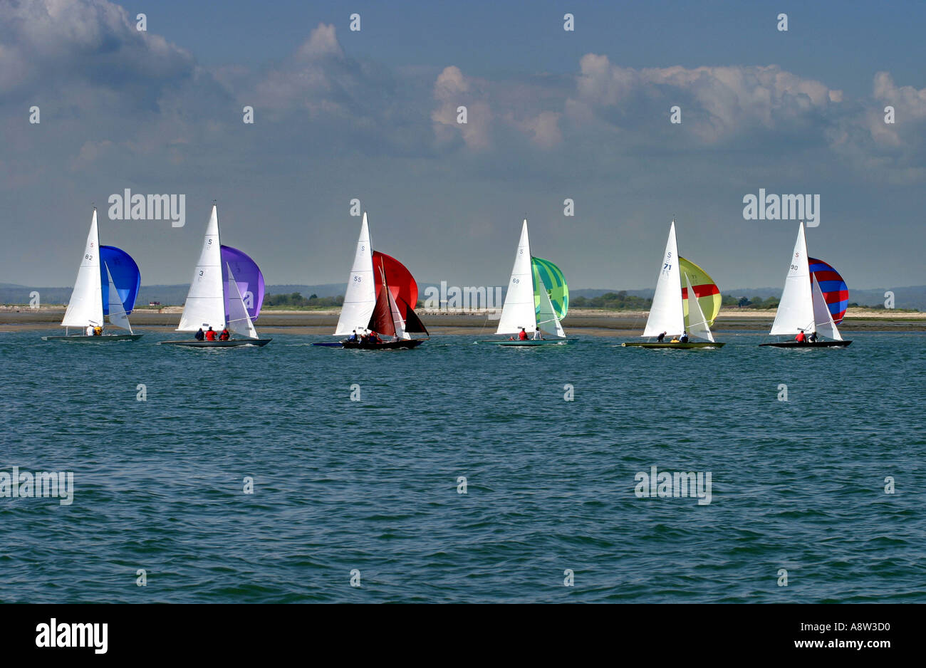 Sechs Boote mit bunten Segeln in einer Linie Chichester Sussex England Stockfoto