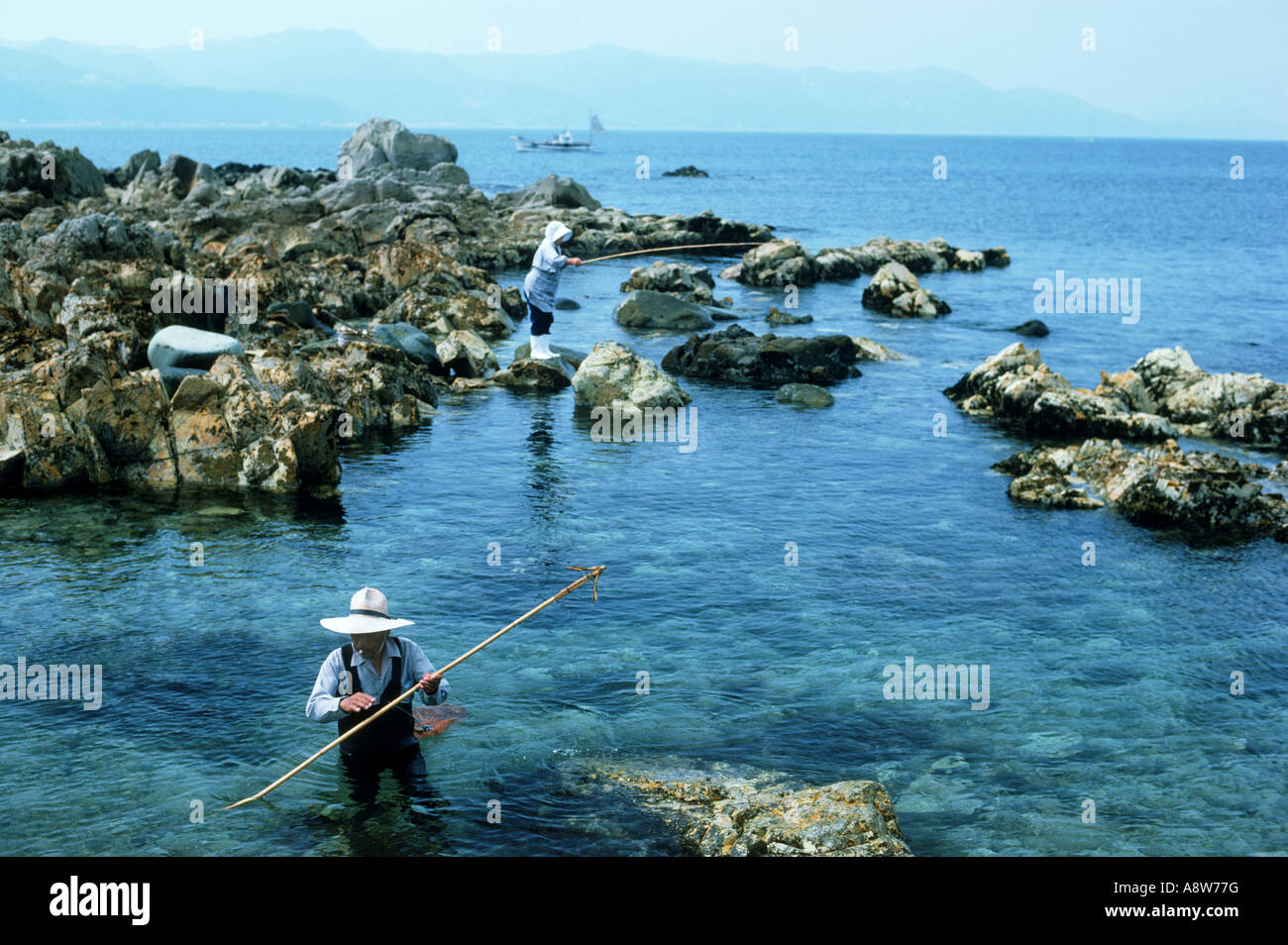Japanisches Paar bei der Amakusa Insel Jagd für die Algen im flachen Pools am Pacific Coast Stockfoto
