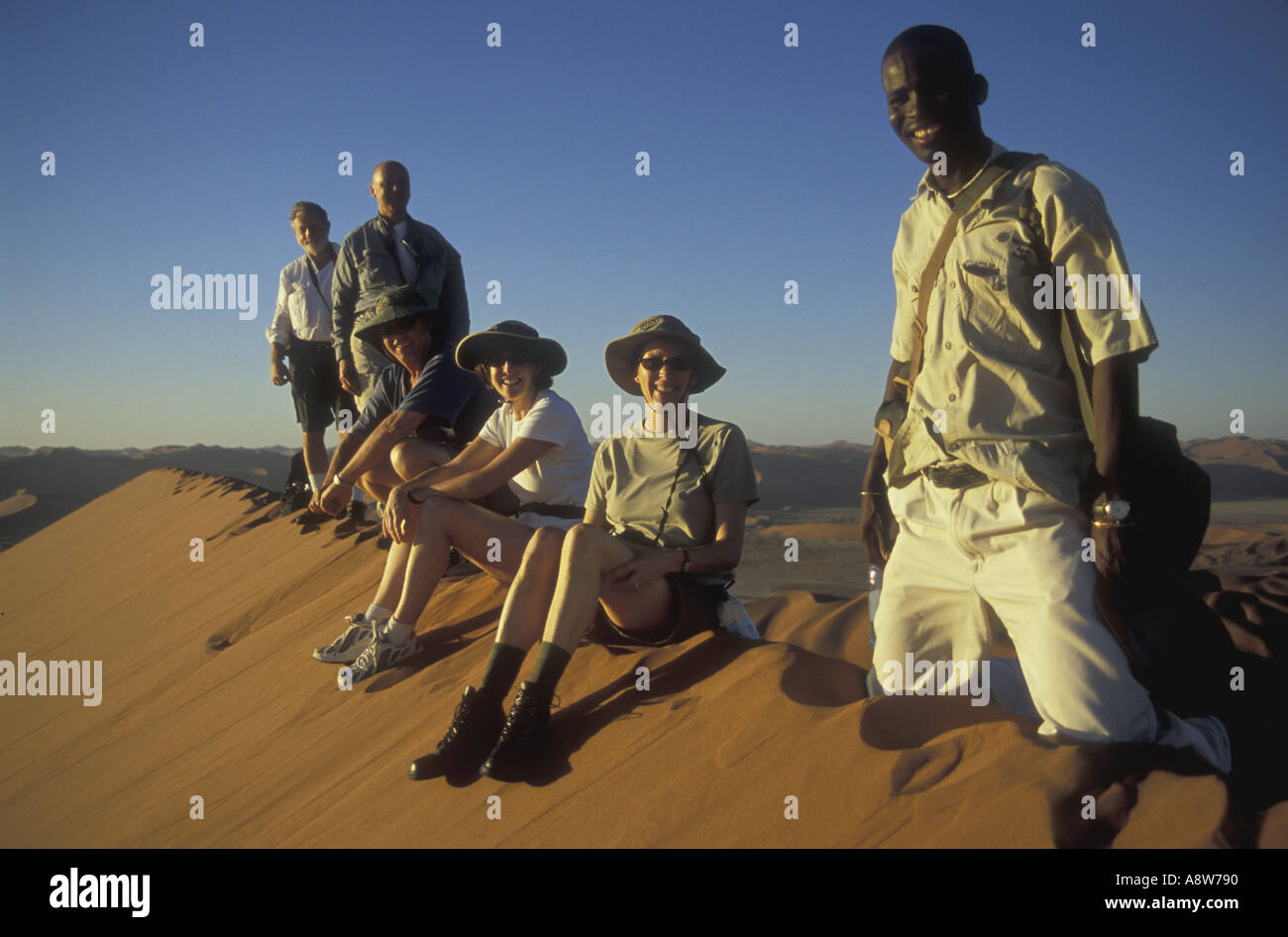 Auf dem Gipfel des Big Daddy in der Nähe von Sossusvlei in der Namib Naukluft Nationalpark Namibia Südwest-Afrika Stockfoto