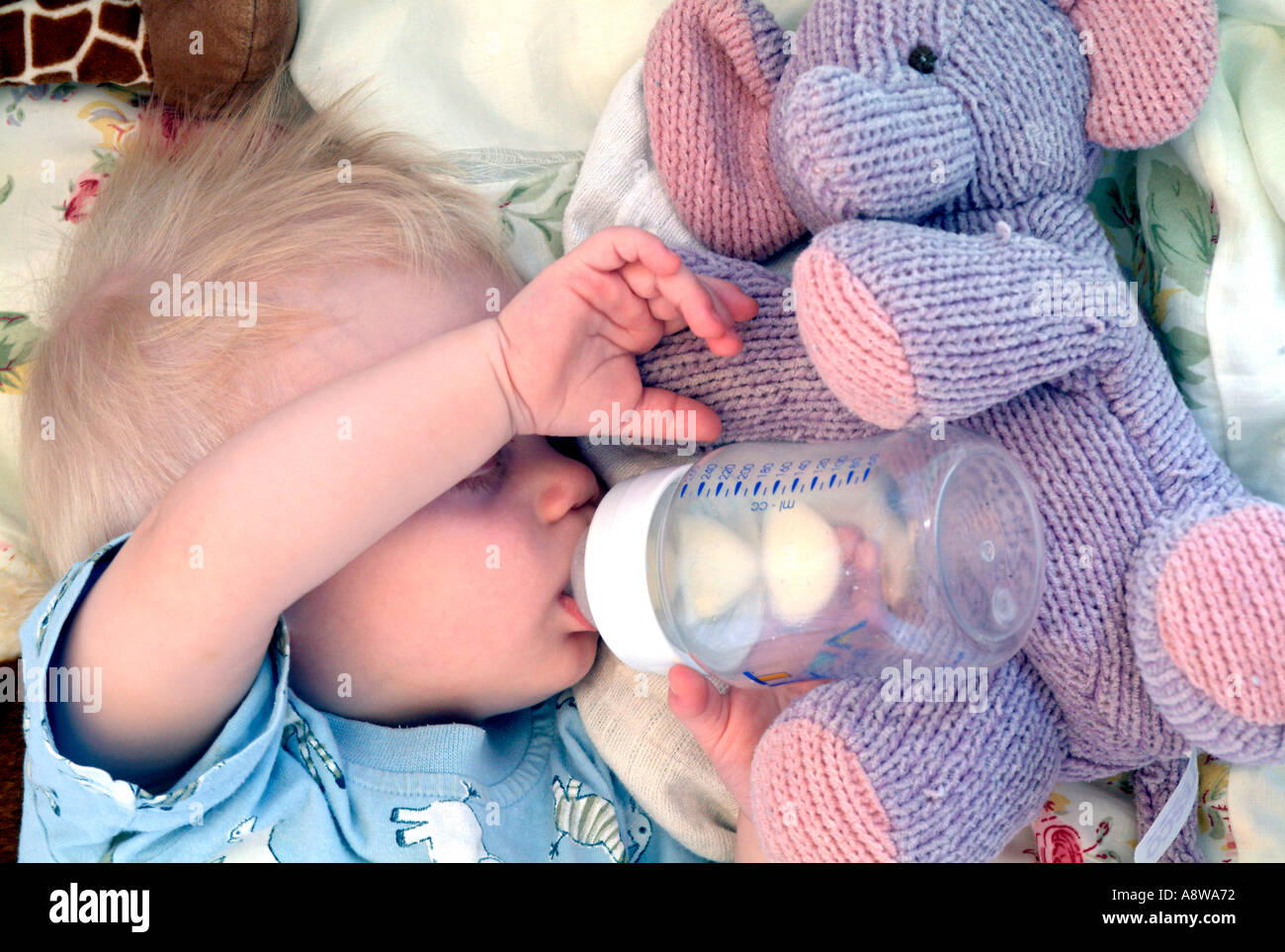 Eine acht - Monate altes Baby Boy schläft in seinem Bettchen mit seiner Flasche noch in den Mund. Stockfoto