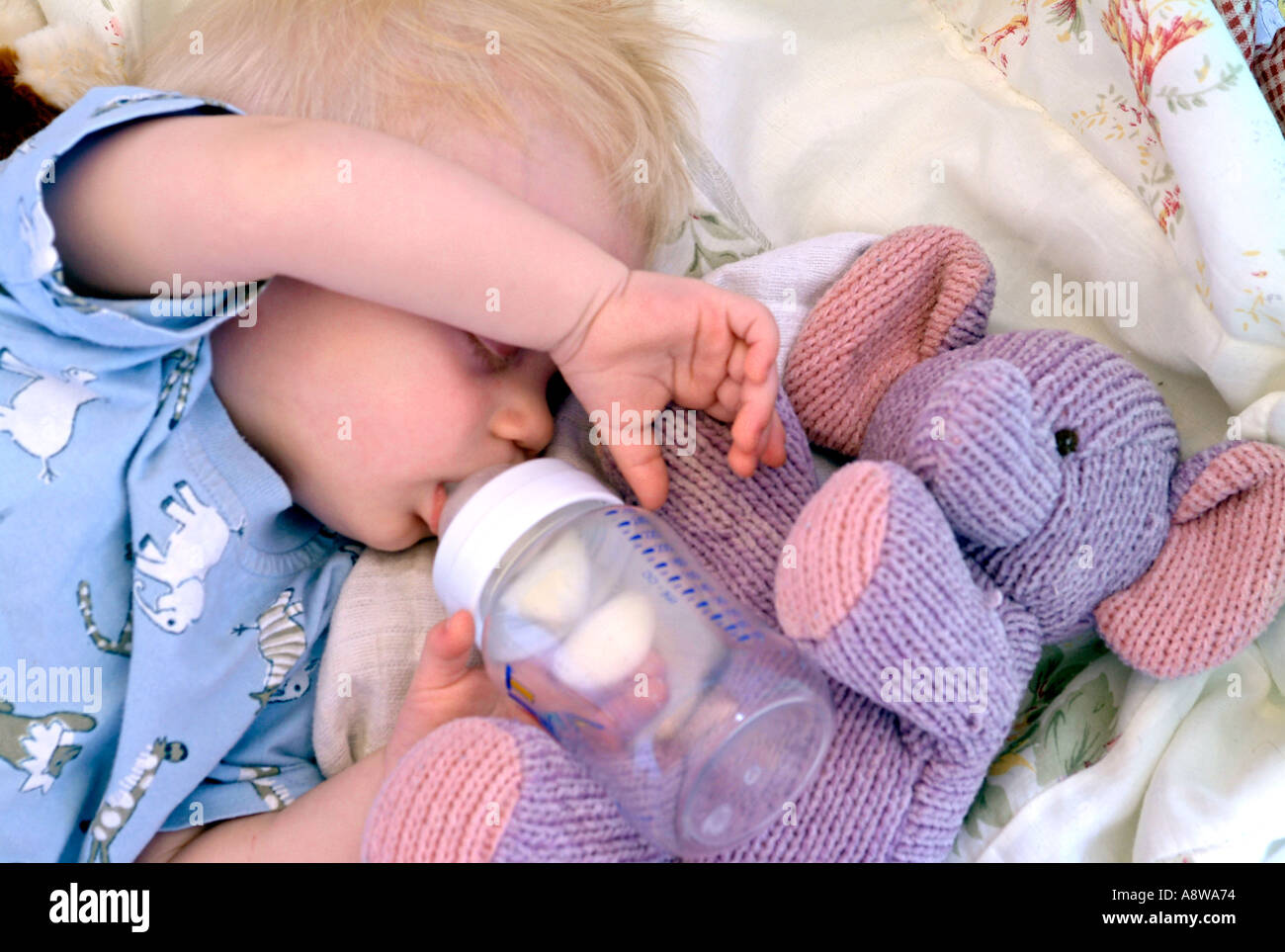 Eine acht - Monate altes Baby Boy schläft in seinem Bettchen mit seiner Flasche noch in den Mund. Stockfoto