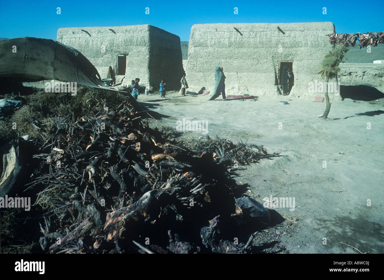 Holz für Treibstoff in einem afghanischen Flüchtlingslager an der pakistanisch-afghanischen Grenze, 1978 Stockfoto