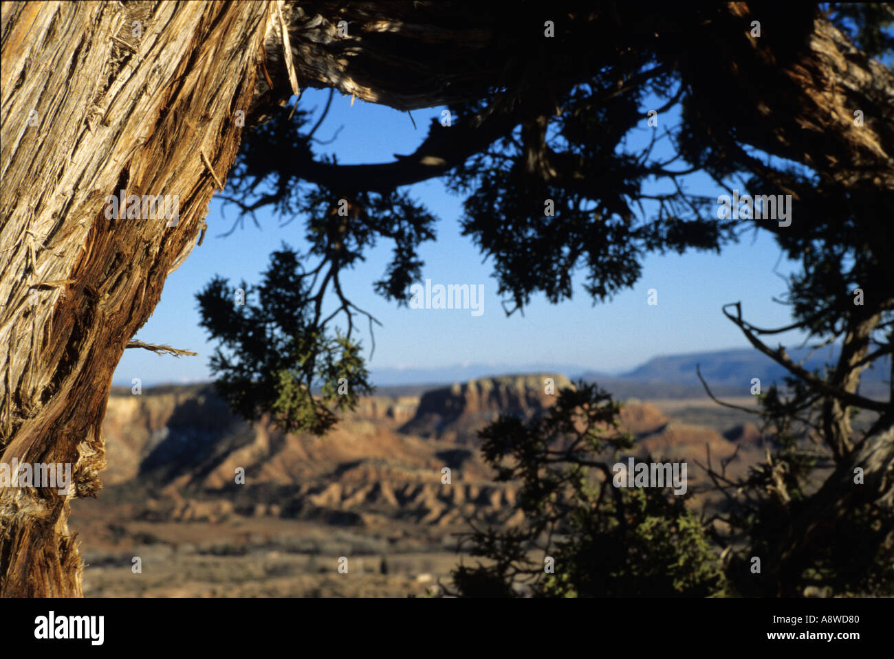 Ansicht von oben der Ghost Ranch Stockfoto