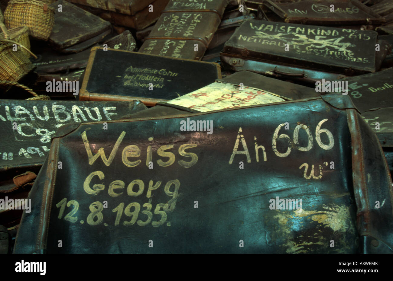 Koffer mit Namen von Opfern des Holocaust auf sie auf Anzeige im Museum Auschwitz in Polen Stockfoto
