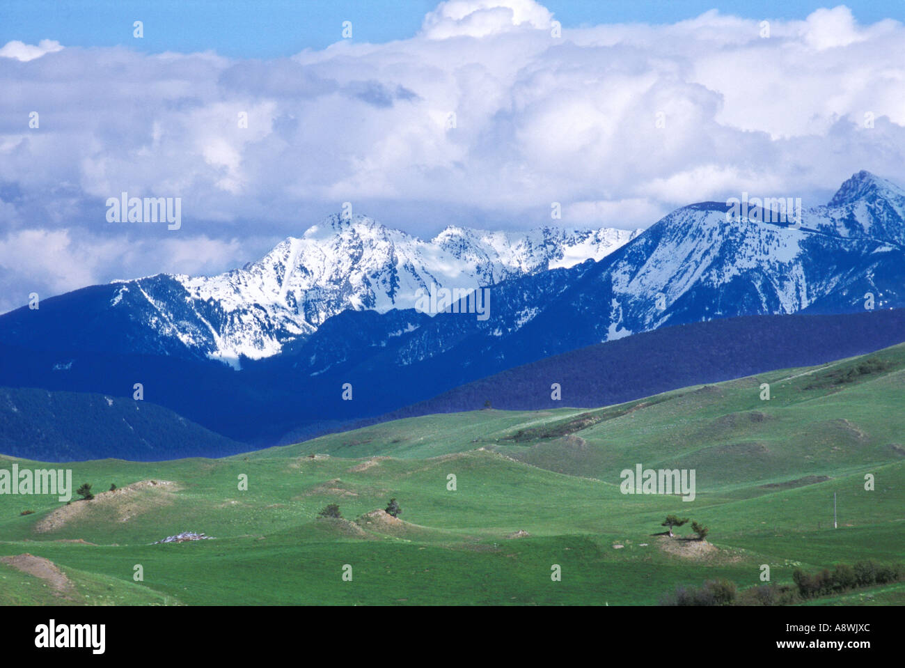 Bridger Berge für Pioneer Jim Bridger Bozeman Pass auf dem Bozeman Trail in Montana genannt. Foto Stockfoto