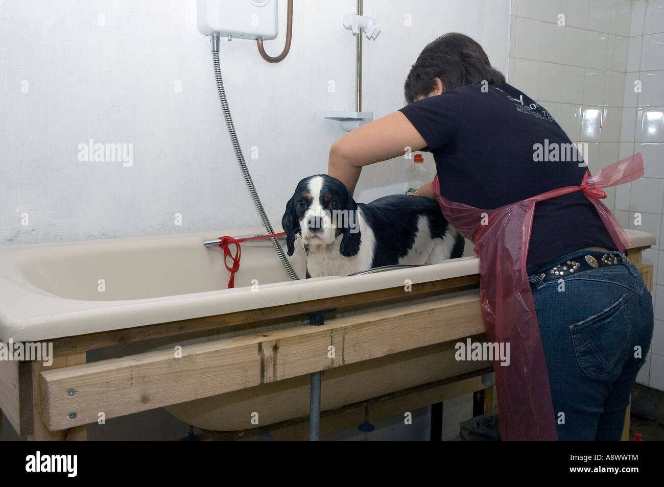 Badezeit Stockfoto