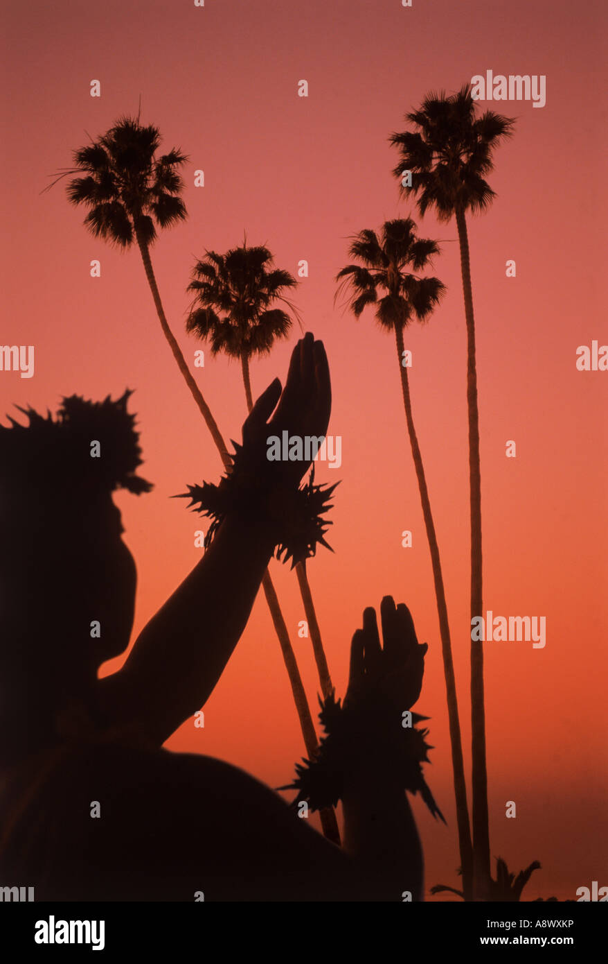 Hula Hula-Tänzerin in Hawaii mit hohen Palmen Silhouette in der Abenddämmerung Stockfoto