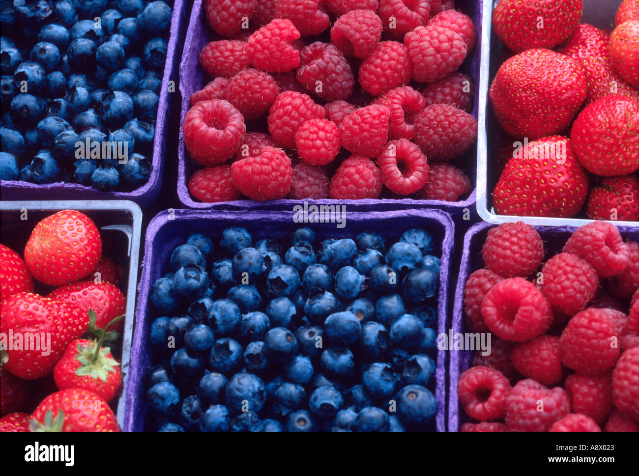 Boxed reife Erdbeeren, Heidelbeeren und Himbeeren Beeren Früchte Stockfoto