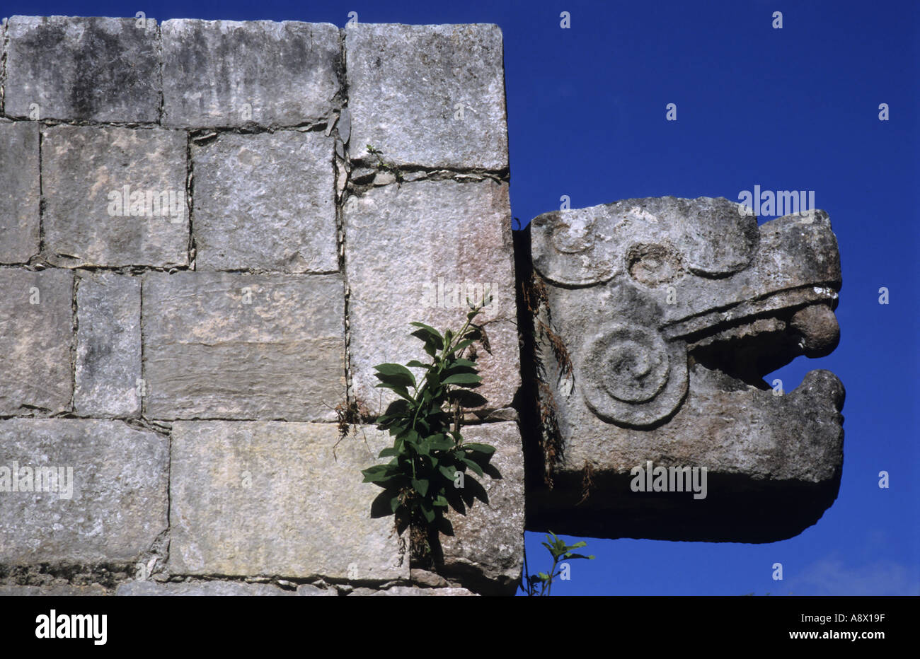Chichen Itza, Yucatan, Mexiko - Der Tempel der Jaguare Stockfoto