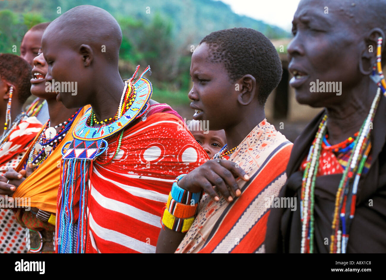 Kenia Masai Mara National Reserve Massai Frauen in traditioneller Kleidung singen in ihrem Manyatta Dorf Stockfoto
