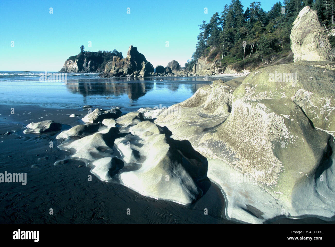 Vancouver Island, Kanada, Stockfoto