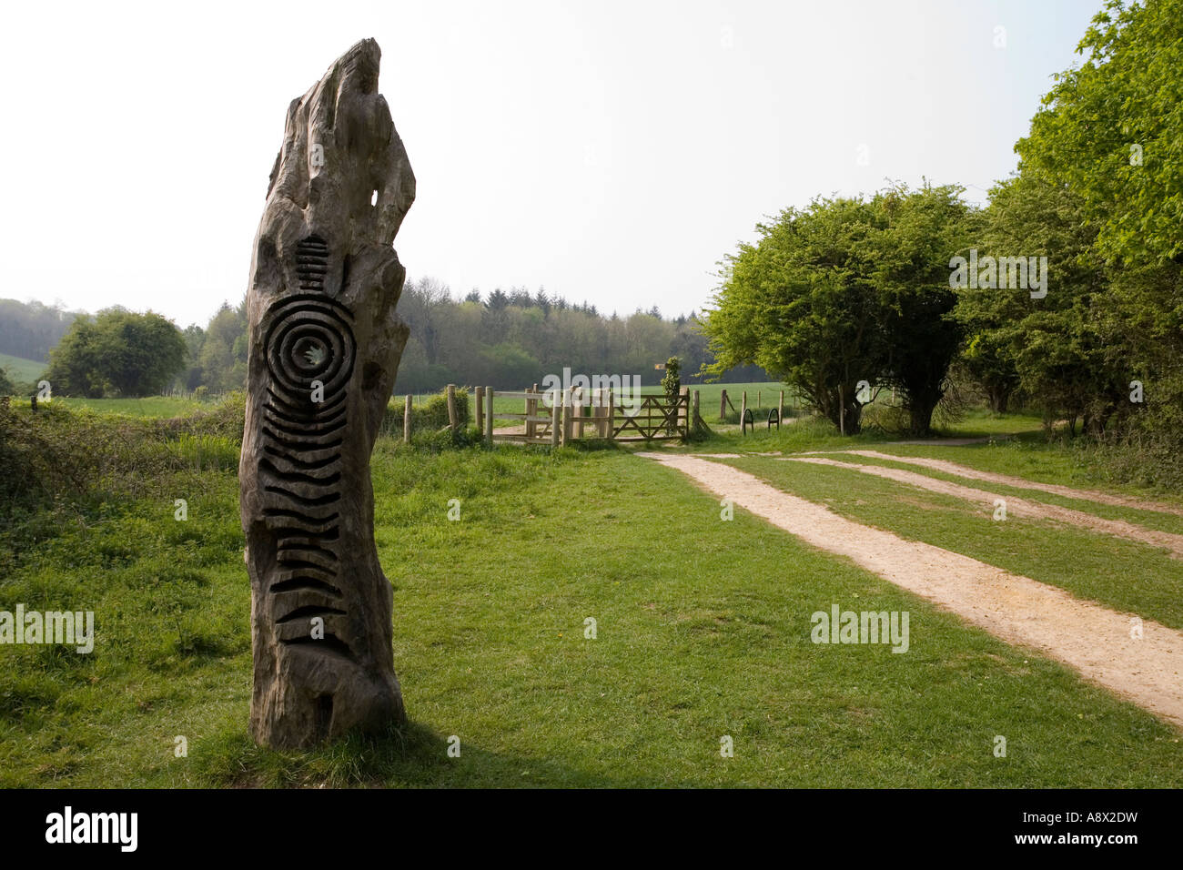 Der Geist von Kingley Vale von Walter Bailey, Sussex, UK. Stockfoto