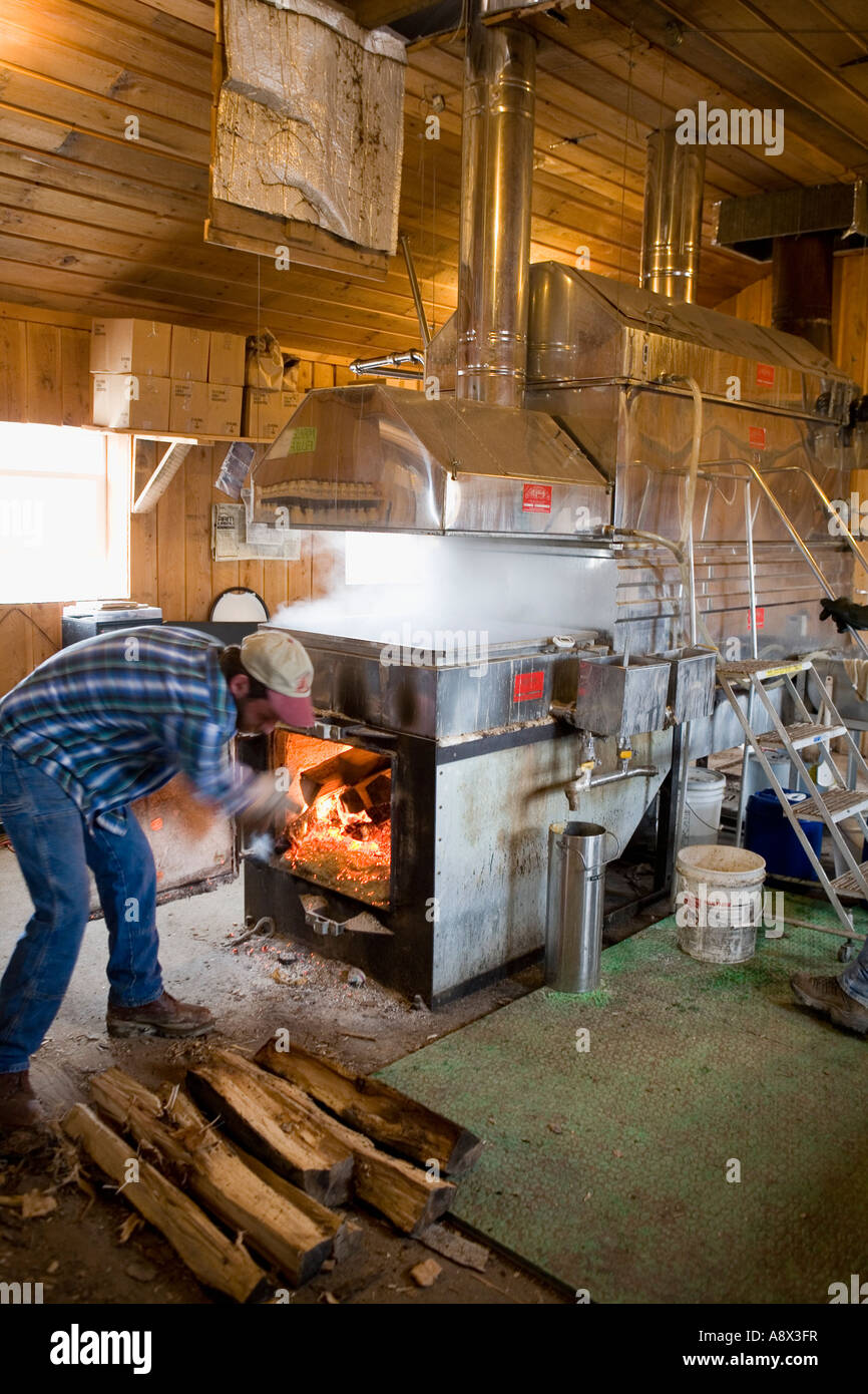 Fütterung von Holzfeuer kochen Baumharz im Verdampfer macht Ahornsirup Upstate New York, März 2007 Stockfoto