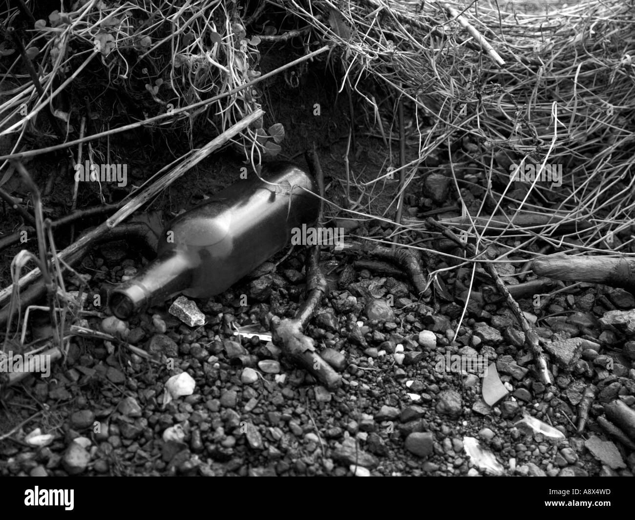 Abfall Müll und Schutt angeschwemmt an den Ufern des Flusses untere Bann Nordirland Stockfoto