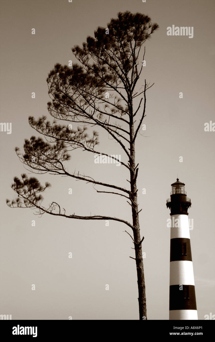 Bodie Island Lighthouse, North Carolina Stockfoto