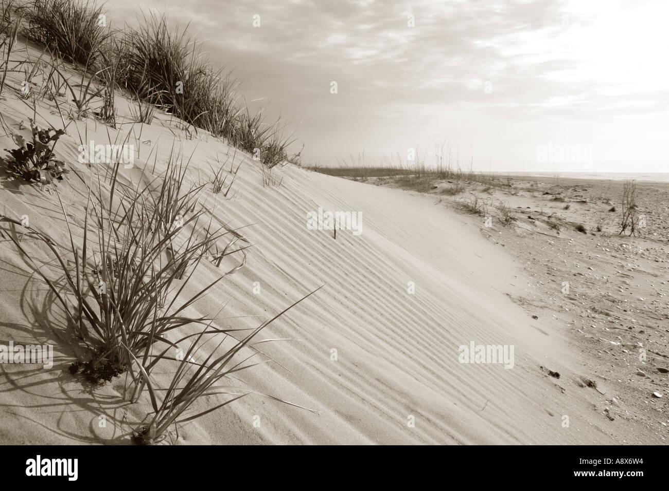 Sanddünen, Cape Hatteras National Seashore, North Carolina Stockfoto