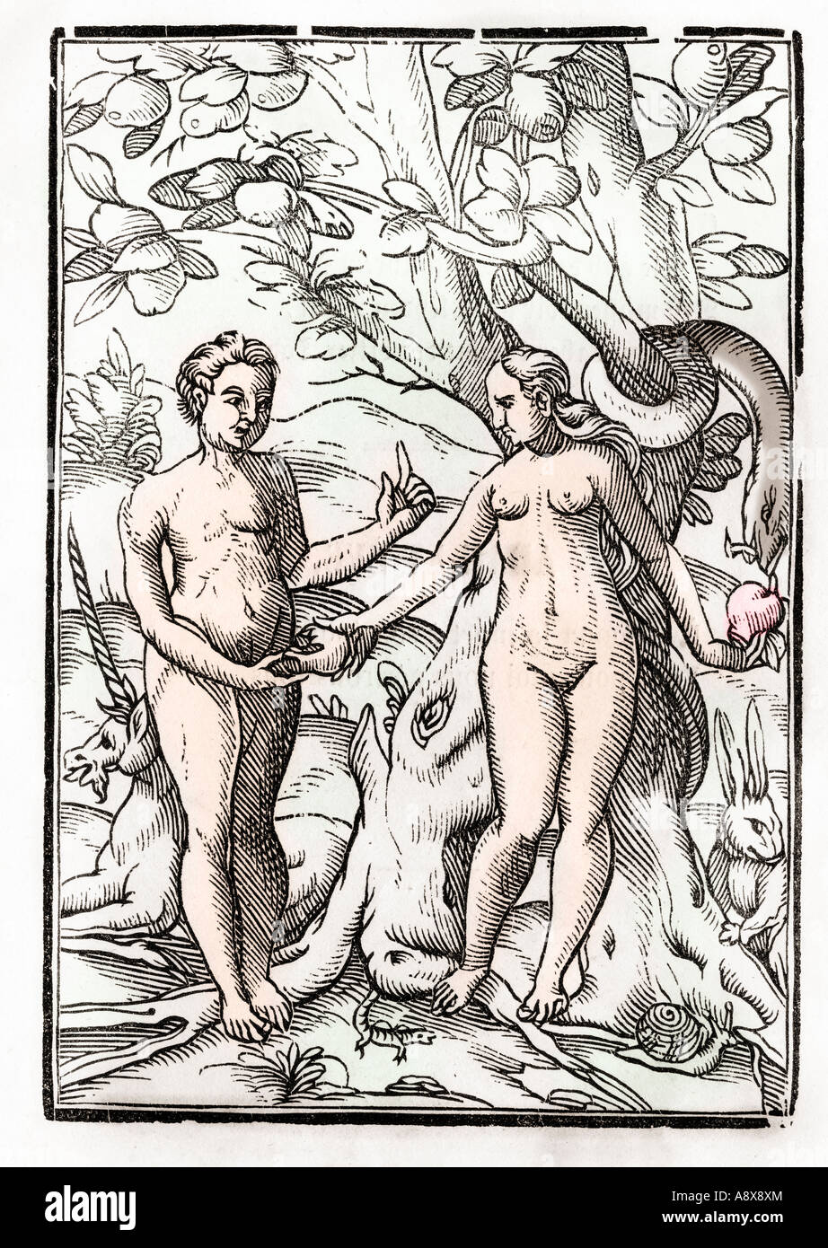 Adam und Eva im Garten Eden aus Der Todten Tanz oder der Tanz des Todes veröffentlicht Basel 1843 Stockfoto