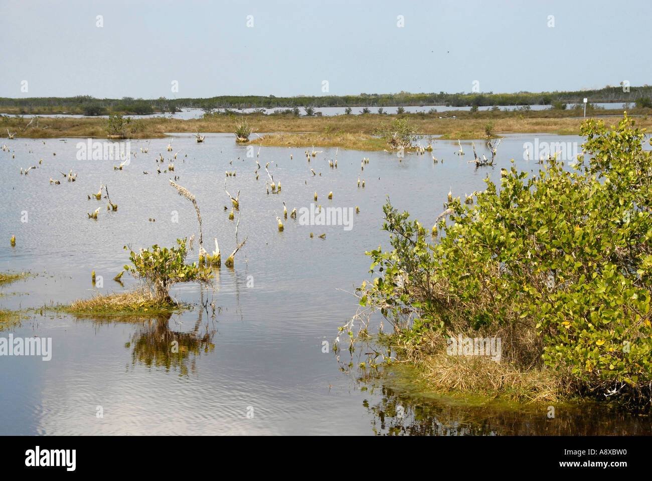 National Park Service Cape Canaveral National Sea Shore Stockfoto