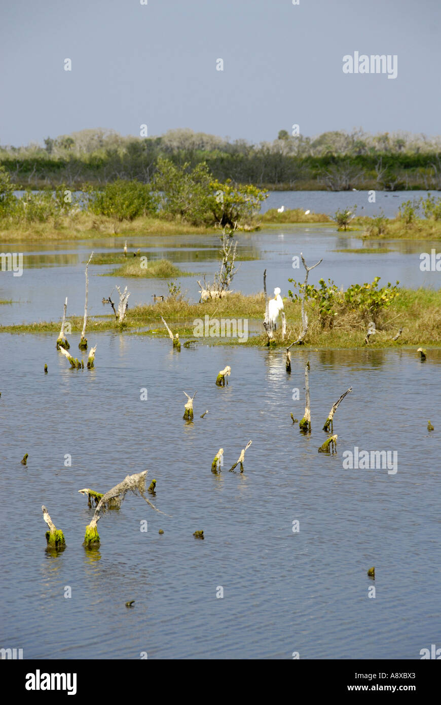 National Park Service Cape Canaveral National Sea Shore Stockfoto
