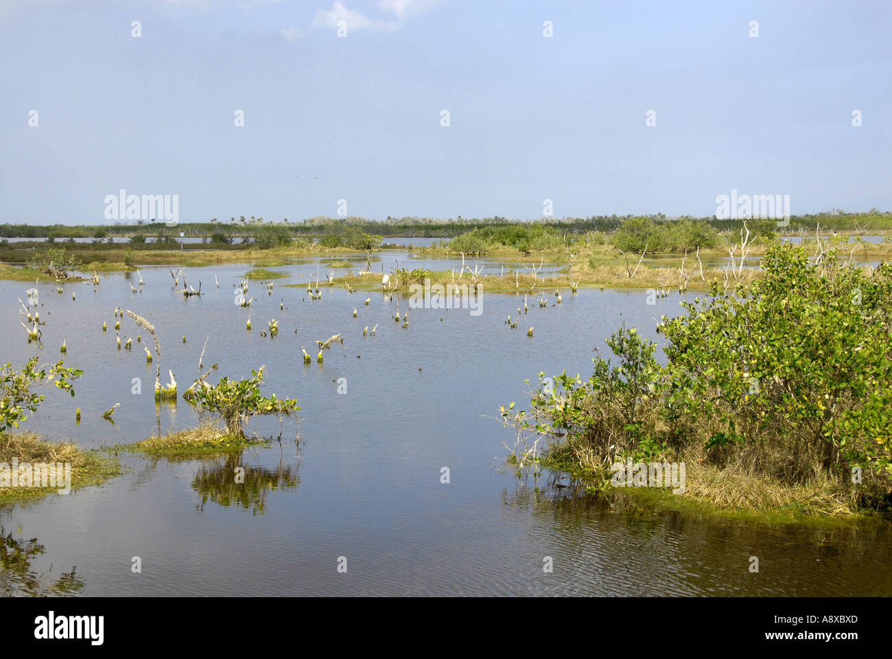 National Park Service Cape Canaveral National Sea Shore Stockfoto