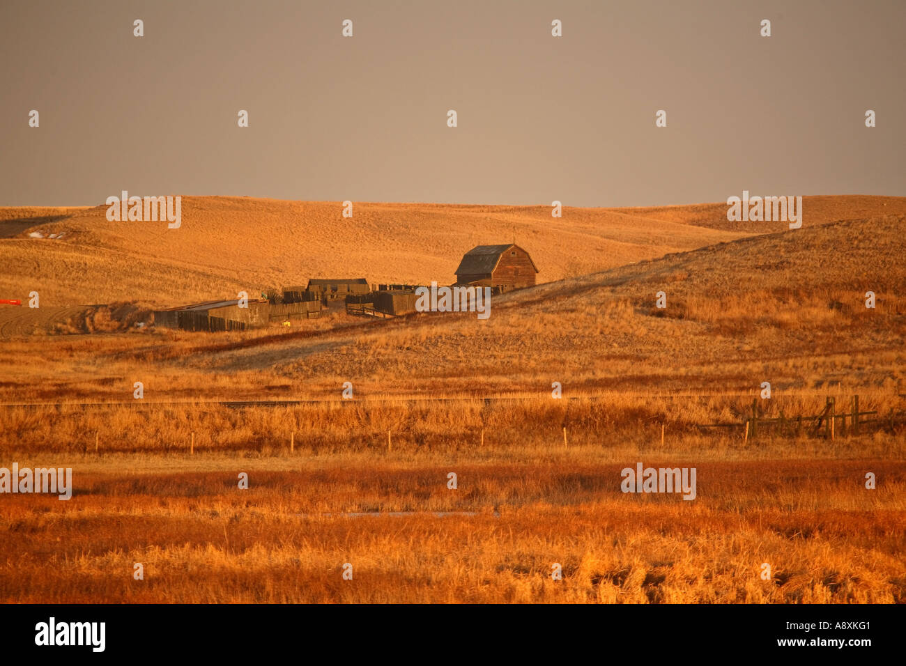 Einem verlassenen Gehöft in Missouri Coteau in szenische Saskatchewan Kanada Stockfoto