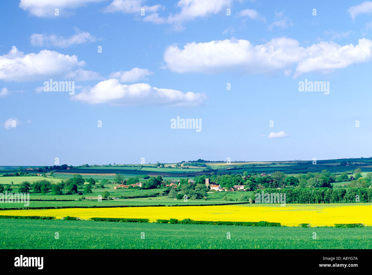 Lincolnshire Wolds Landwirtschaft Bauernhof Landschaft am Hemingby in der Nähe von Horncastle. England. Sommer. Stockfoto