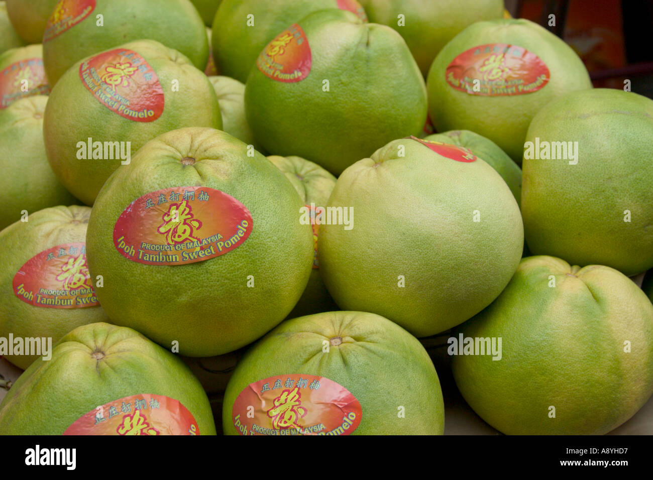 grüne Pampelmusen von Ipoh Malaysia citrus Grandis tropische Früchte Stockfoto