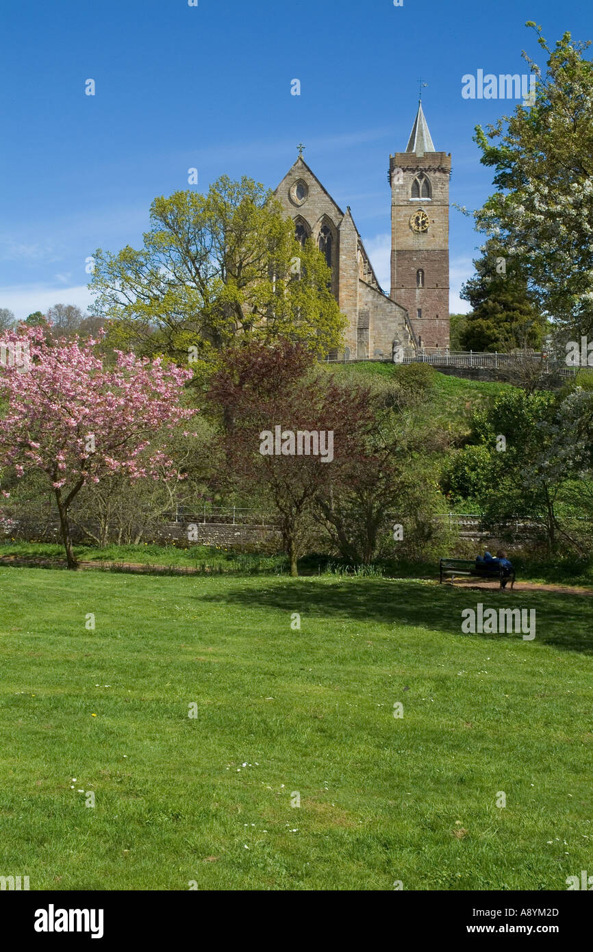 dh Dunblane Kathedrale DUNBLANE STIRLINGSHIRE Kirche Glockenturm Flussufer Allan Water Frühling Kirsche Bäume blühen Stockfoto