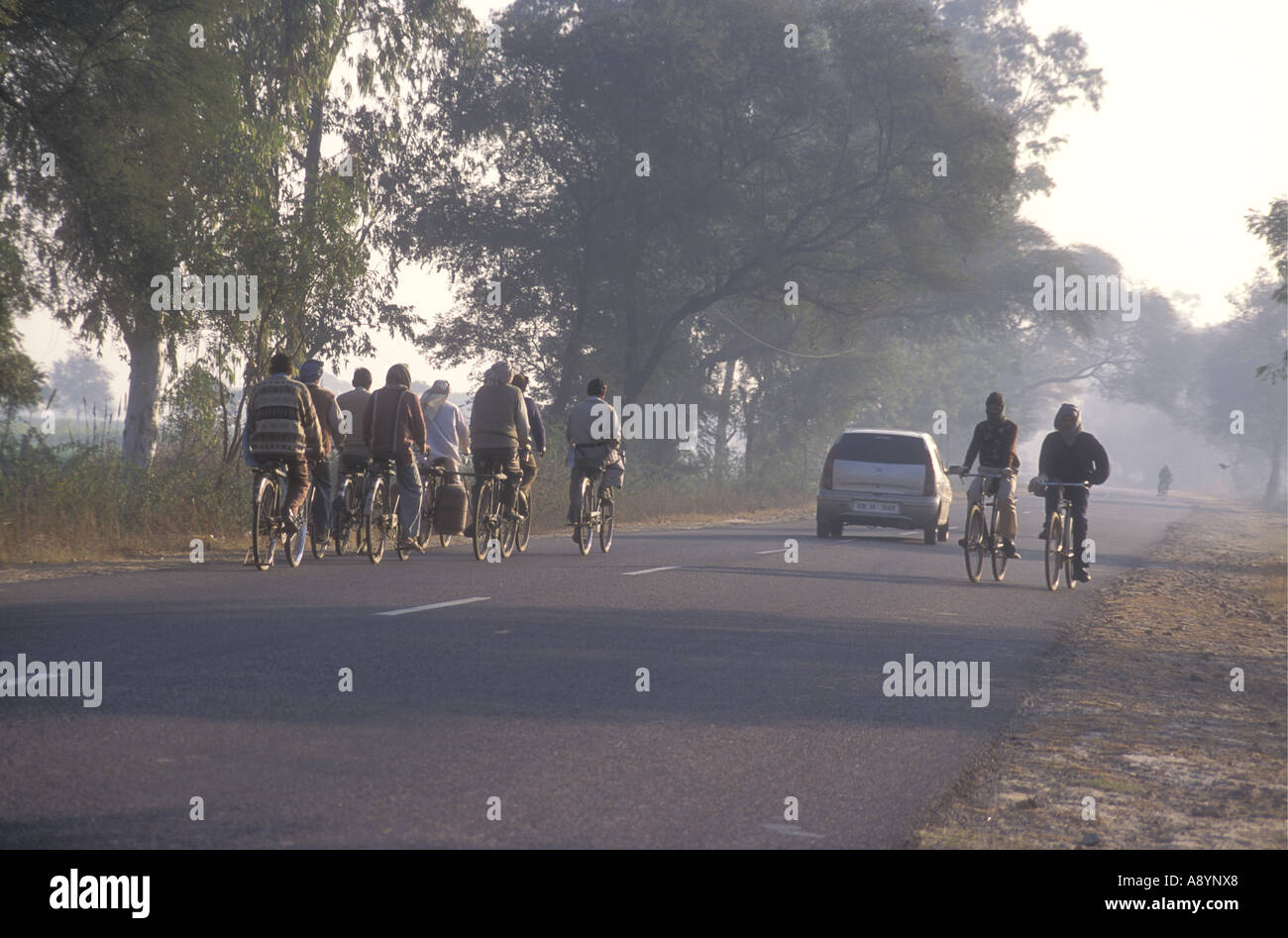 Radfahrer und ein Auto auf dem Weg zur Arbeit im frühen Morgennebel unterwegs von Bharatpur, Agra, Uttar Pradesh, Indien Stockfoto