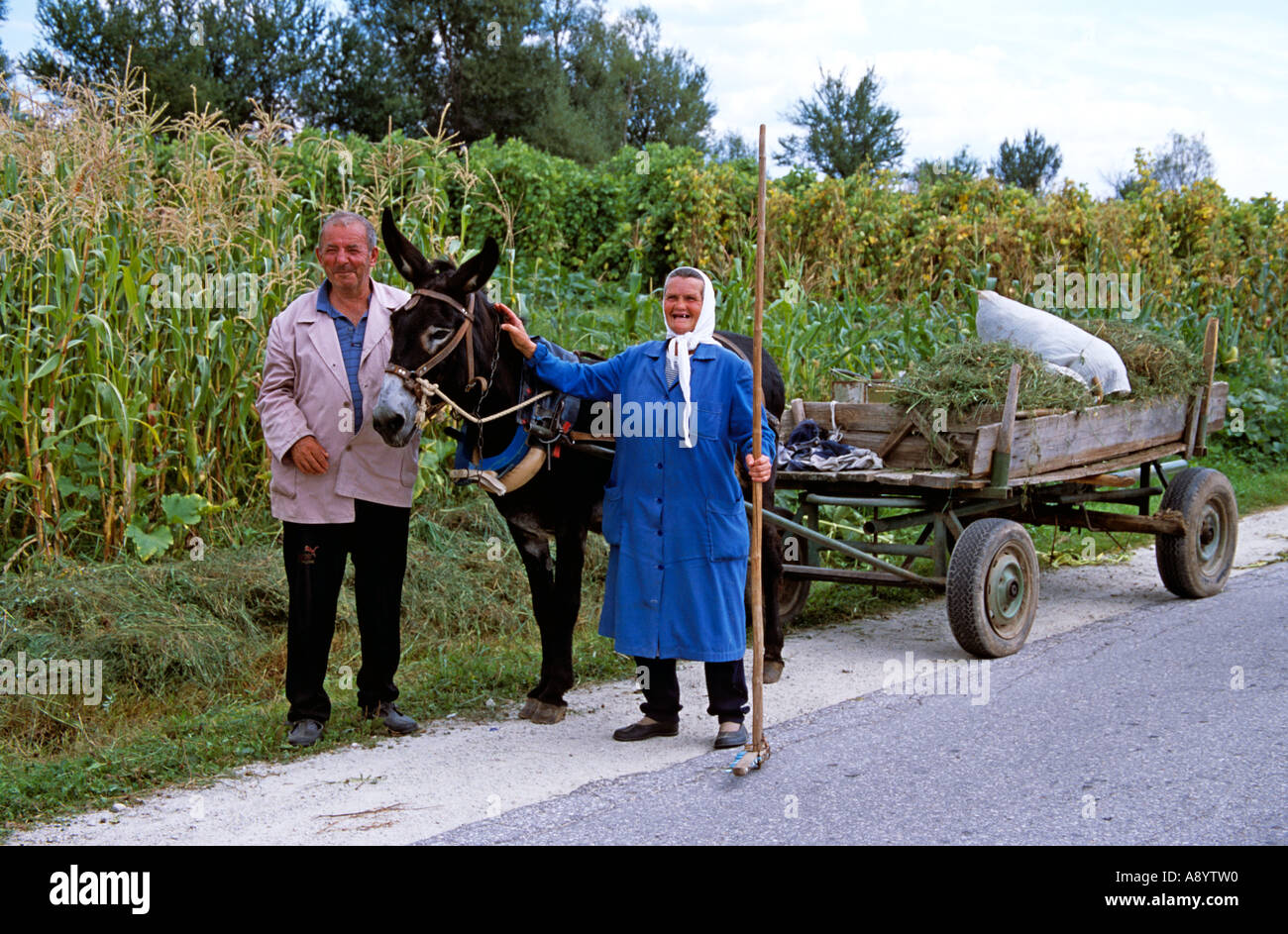 Landwirte stehen mit Esel und Wagen, Dobarsko, Bulgarien Stockfoto