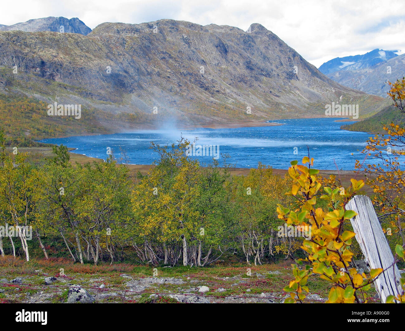 Das Drehen der Jahreszeiten Altweibersommer Jotunheimen Norwegen Stockfoto