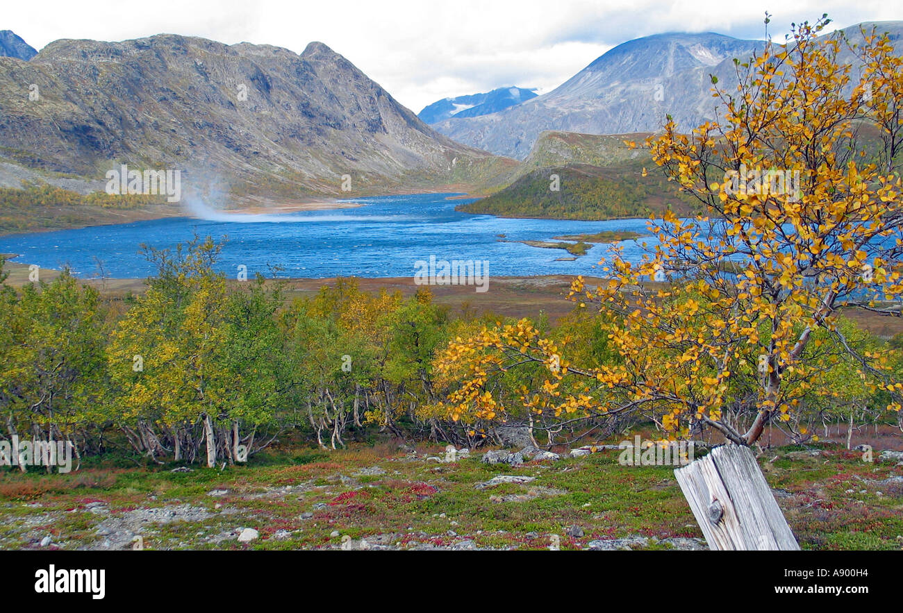 Wind über einen See in Jotunheimen während des Drehens der Jahreszeiten spielen / Indian Summer, Jotunheimen, Norwegen Stockfoto