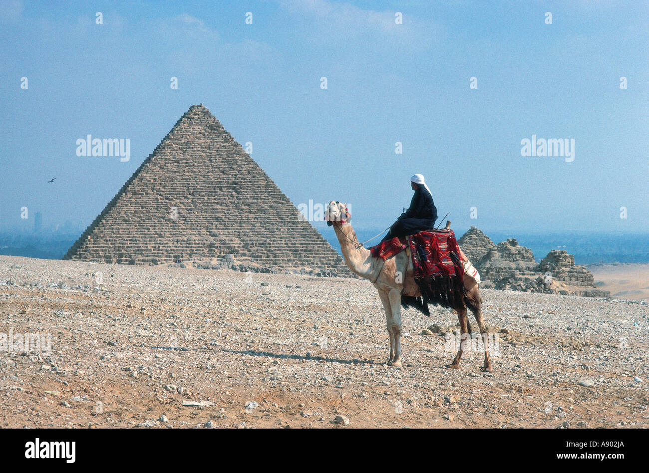 Ein Kamelreiter mit den Pyramiden von Gizeh in der Nähe von Kairo Stockfoto