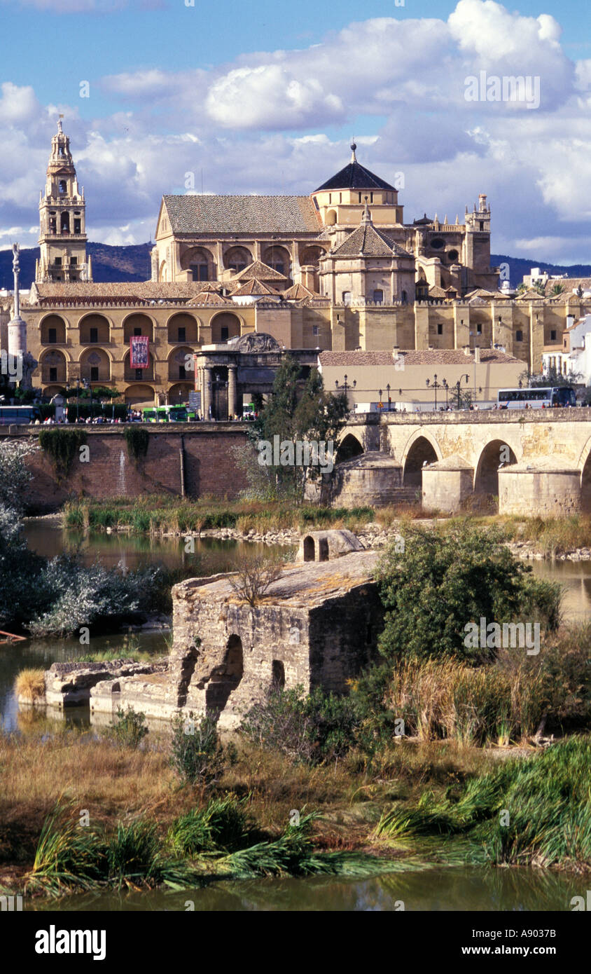 La Mezquita de Córdoba mit La Puente Romano Römerbrücke Cordoba Andalusien Andalusien Spanien Stockfoto