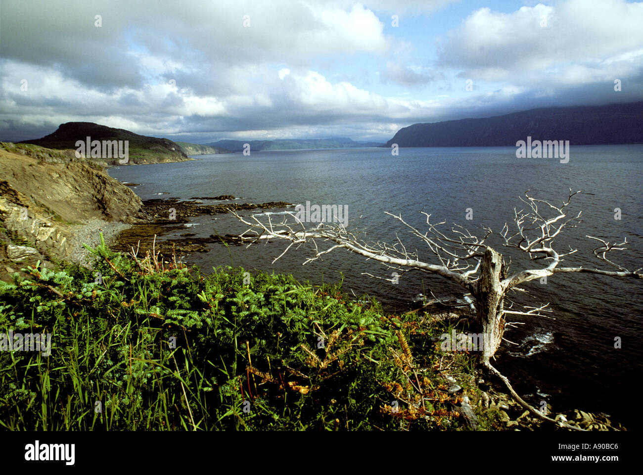 felsigen Bergen Gros Morne Neufundland Stockfoto