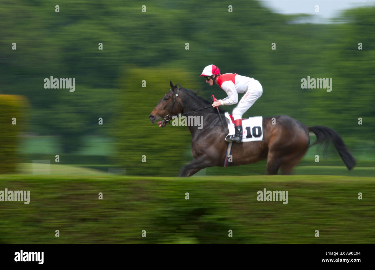 Rennpferd und jockey Stockfoto