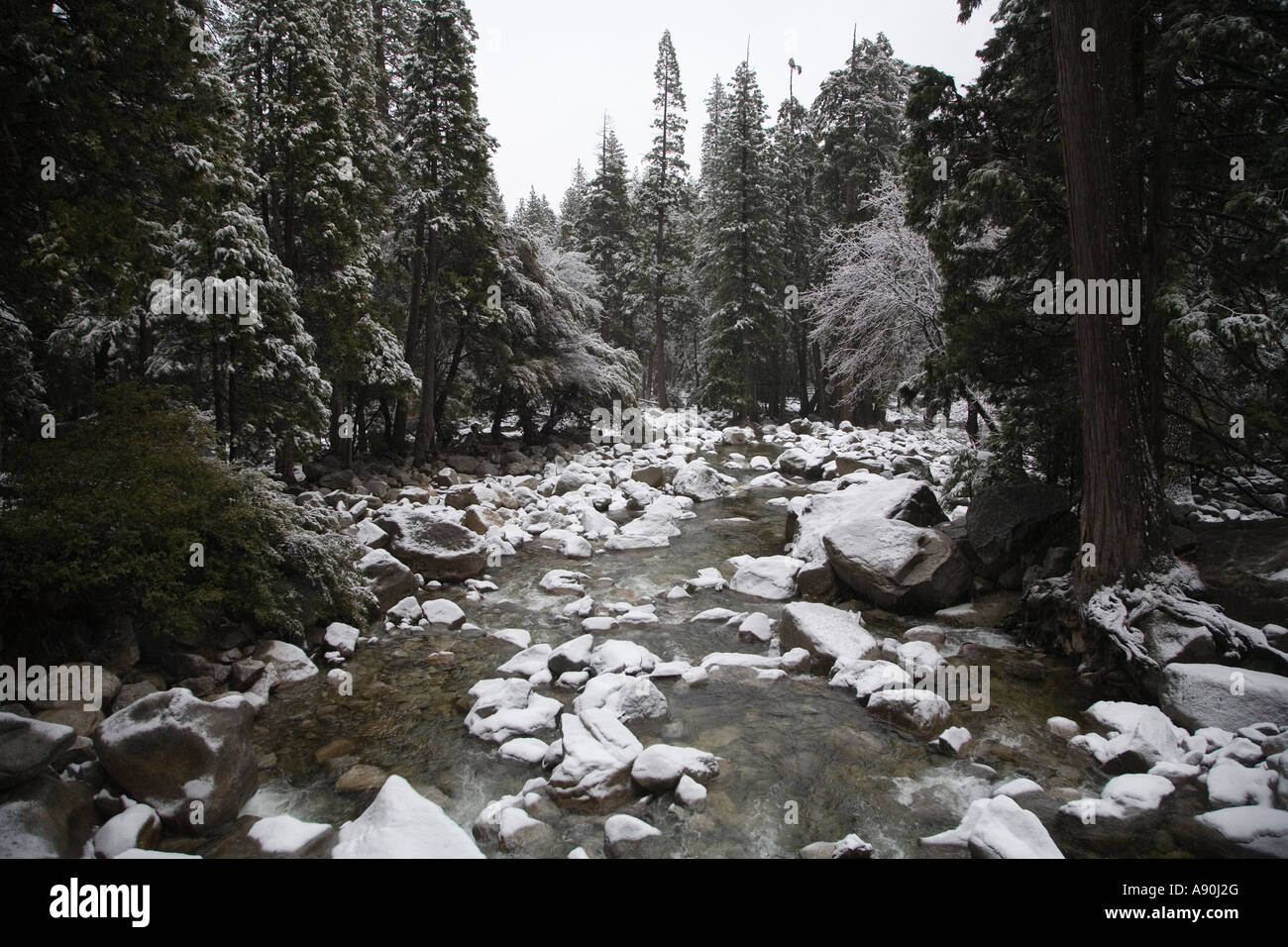 Yosemite Creek mit Schnee bedeckten Felsen und fließendes Wasser Stockfoto