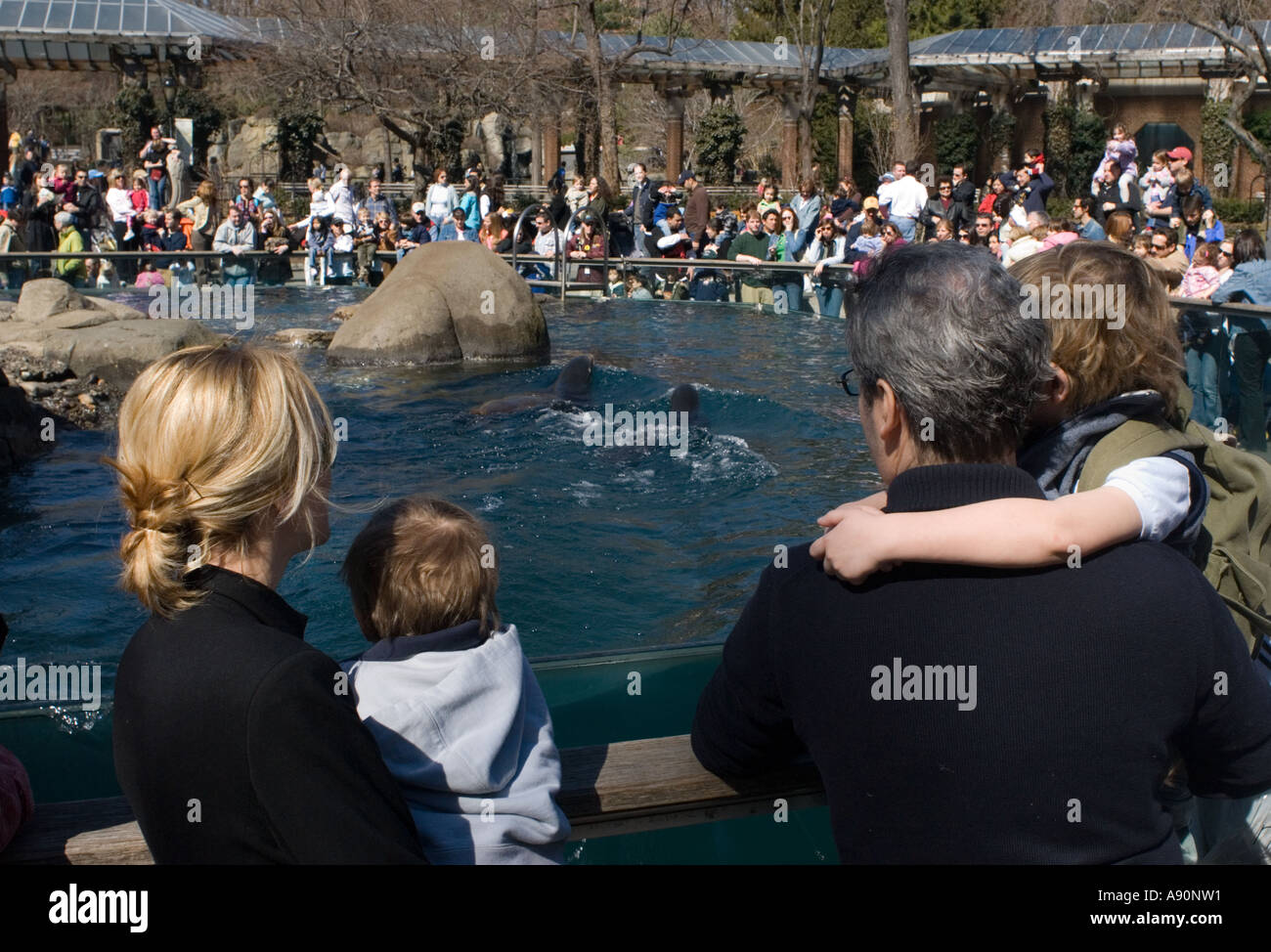 Familie vor dem Seelöwen im Central Park Zoo Stockfoto