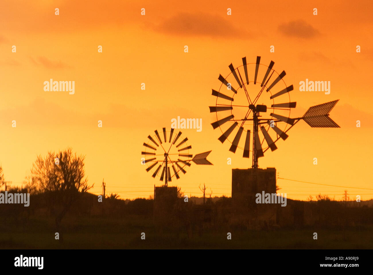 Windmühlen, die Mallorca bei Sant Jordi Valley bei Sonnenuntergang Stockfoto