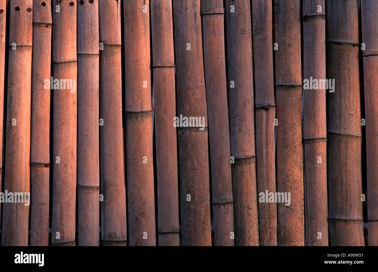 Gespaltener bambus -Fotos und -Bildmaterial in hoher Auflsung  Alamy